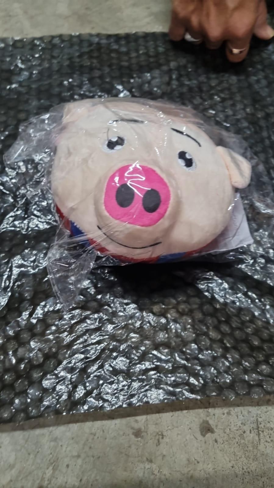 Dancing Piggy Ball Toy